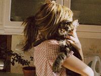 柒爸2017年8月狮子座运势