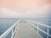 狮子座寂寞时的表现