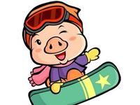 生肖猪的人际交往能力有多强