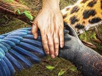 占卜你所在工作团队的合作意识强吗