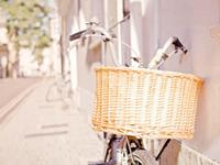 金牛座自己都讨厌的缺点是啥