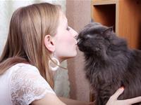 天生爱当铲屎官的生肖