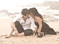 在感情中感到最自卑的生肖