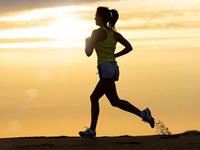 最能吃苦耐劳的四大生肖