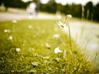 狮子座一生中最害怕失去什么