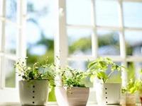 摩羯座一生中最害怕失去什么