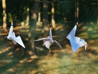 浮图塔2017年9月份生肖龙运程