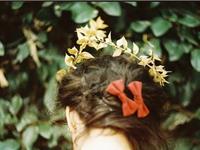 浮图塔2017年9月份生肖猴运程