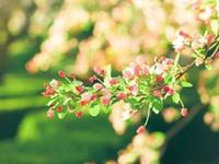 怎样与巨蟹座和平分手