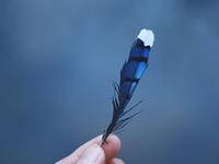 怎样与天蝎座和平分手