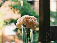 A微日记2017年9月摩羯座运势