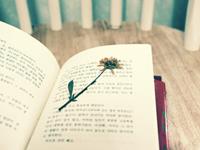 白羊座的吵架开场白