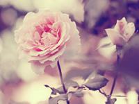 水瓶座的吵架开场白