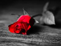 白羊座在爱情里的嫉妒心有多强