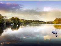 巨蟹座在爱情里的嫉妒心有多强