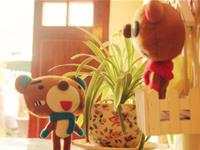 天蝎座在爱情里的嫉妒心有多强