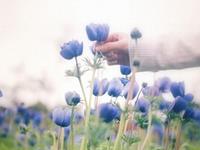 最不会谈恋爱的三大星座