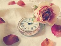 拥有12星座BOSS是种什么样的体验