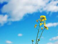 塔罗右手一周塔罗运势（9.4-9.10）