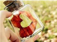 小容女生命灵数运势（9.4-9.10）