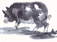 属猪人2019年运势 2019年属猪人的全年运程