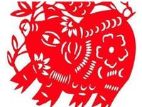 张盛舒2017年10月生肖猪运势