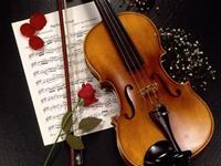 金牛座这样处事说明已经长大了