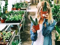 占卜你能成为职场中另人瞩目的人吗