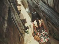 郑博士2017年10月生肖鼠桃花运