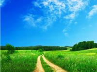 射手座友情最看重什么