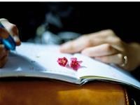 不管做什么都很成功的生肖