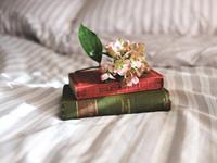 董易林生肖牛2018年运势