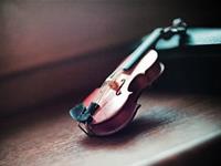 浮图塔2017年10月份生肖龙运程