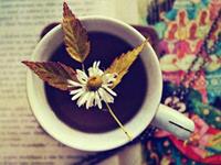 浮图塔2017年10月份生肖羊运程