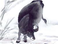 属牛的2018年带什么最好最灵