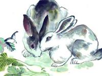 属兔2018年吉祥物怎么戴效果最好