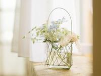 董易林2017年10月生肖牛运势