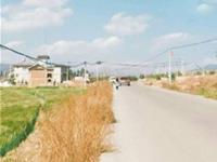 狮子座是最善变的吗