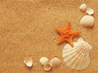 金牛座眼里的无价之宝是