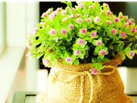 易玄2017年10月生肖羊运势