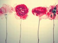 12星座为什么有时候令人讨厌