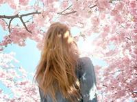 张盛舒紫微14主星一周运势（10.9-10.15）