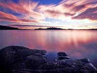 紫微斗数武曲星2018年运势