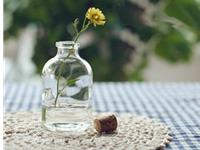 紫微斗数破军星2018年运势