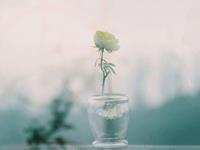 十二星座实话实说，你中枪了吗