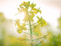 小容女生命灵数运势（10.16-10.22）