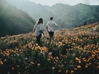 占卜你最近的感情是否顺利