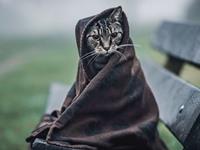 快来看看让你成为月光族的原因是什么呢