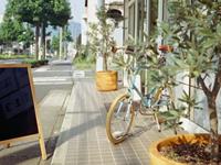 紫微斗数武曲星2017年11月爱情运势