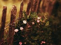 自私自利，很少考虑他人的星座